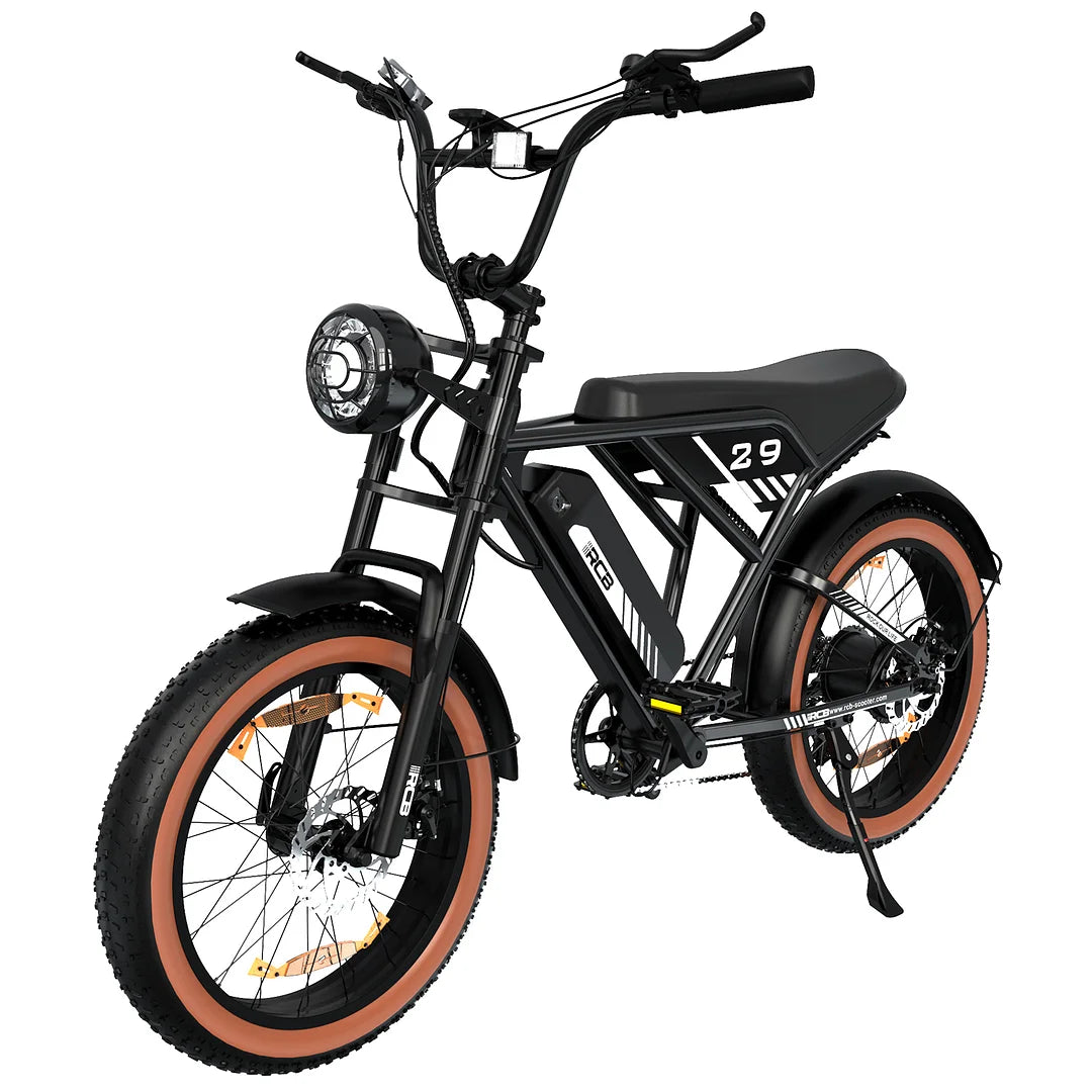 RCB RK29M Electric Bike for Adults(RCB E BIKE)