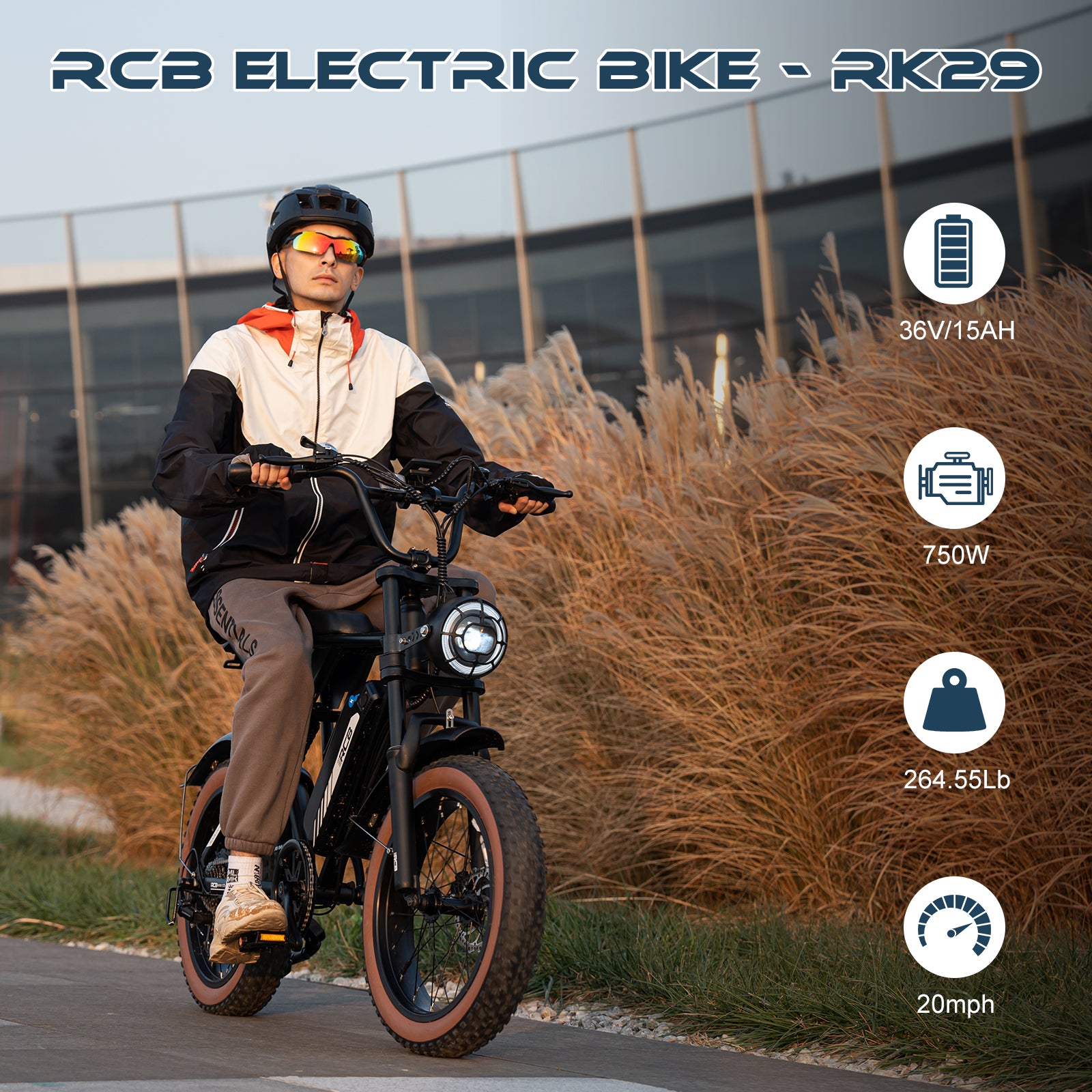 RCB RK29M Electric Bike for Adults(RCB E BIKE)