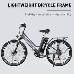 RCB RK8M Electric Bike for Adults