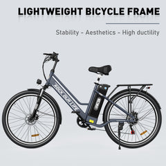 RCB RK8M Electric Bike for Adults(RCB E BIKE)